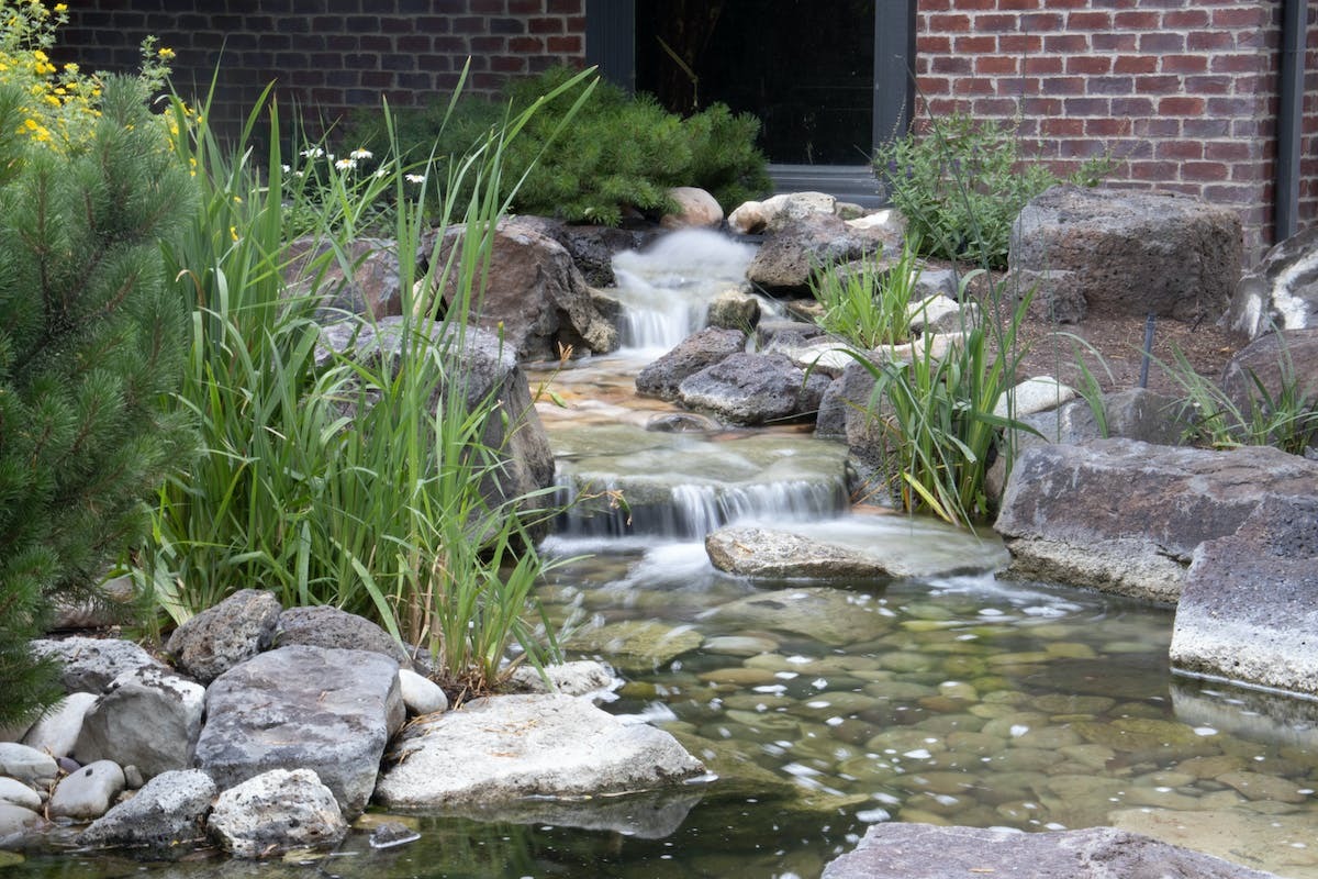Découvrir les avantages surprenants de l’ajout d’un bassin dans votre jardin