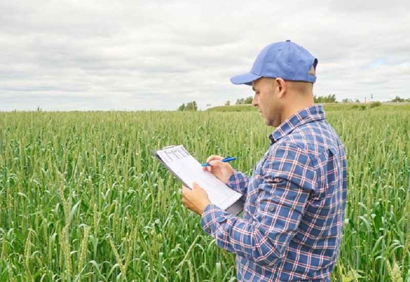 Comment trouver du travail dans les nouveaux métiers de l’environnement ?