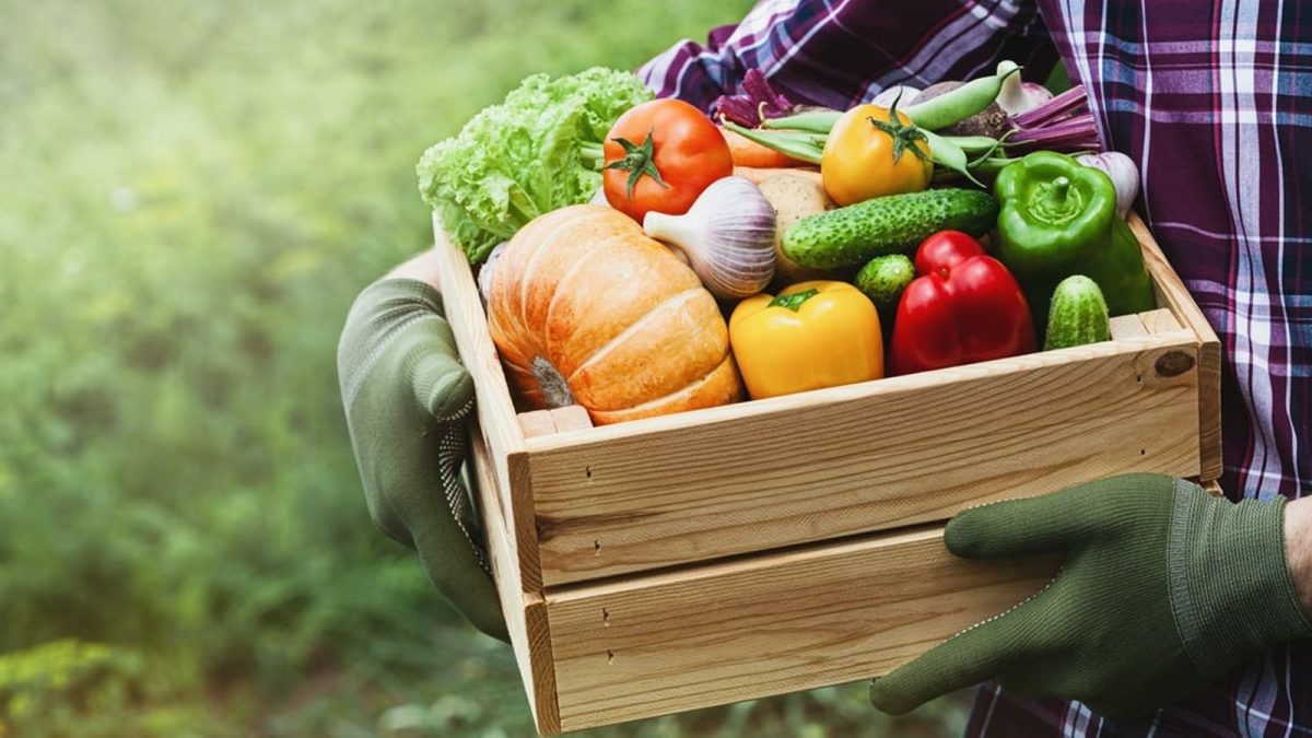 Avantages de la consommation des fruits et légumes de saison